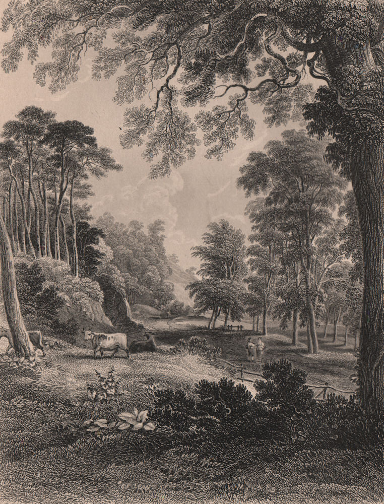 Dura Den, near Cupar, Fife. Scotland 1845 old antique vintage print picture